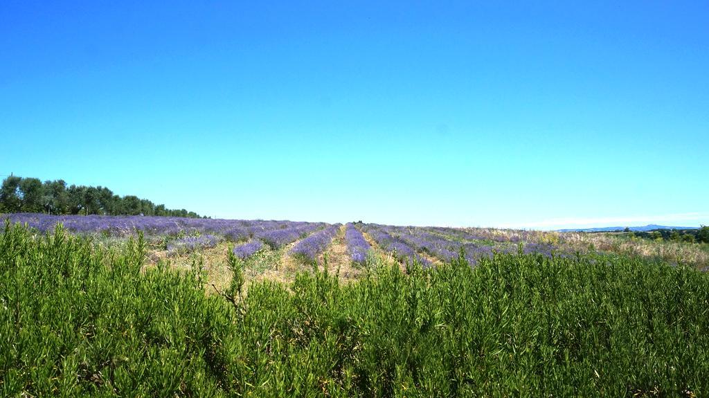Agriturismo San Giusto Hotel Tuscania Kültér fotó